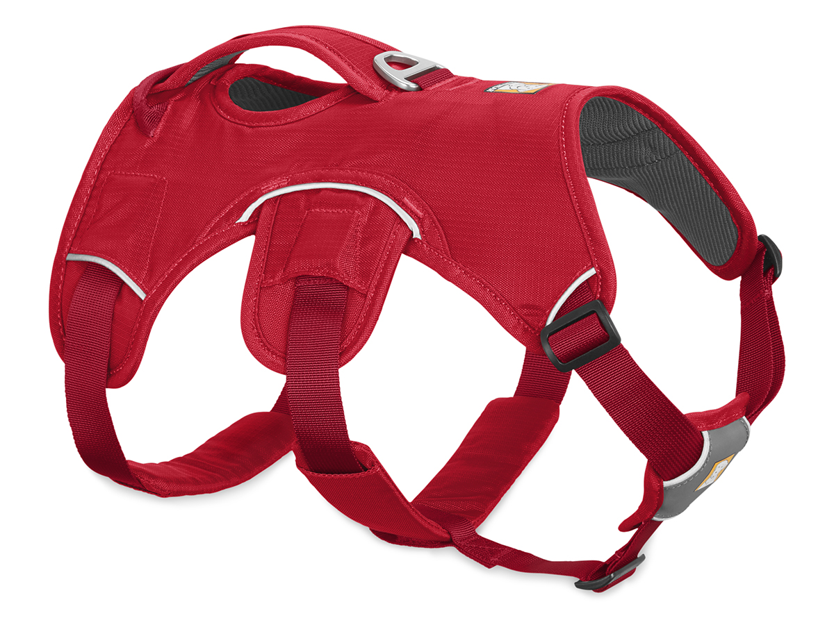 Ruffwear WebMaster Harness