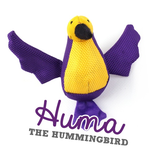 Beco Huma The HummigBird