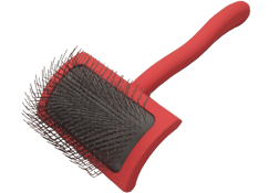 CC Big G Coral Slicker