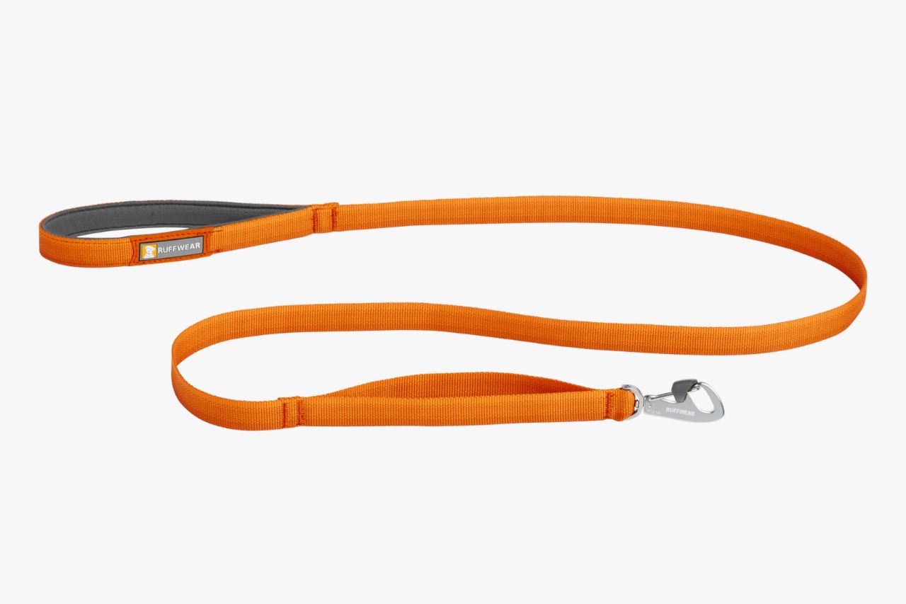 https://india.dogkart.in/ImageUploads/Campfire_Orange.jpeg
