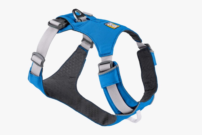 https://india.dogkart.in/ImageUploads/Hi__and__Light_Blue_Dusk.jpeg