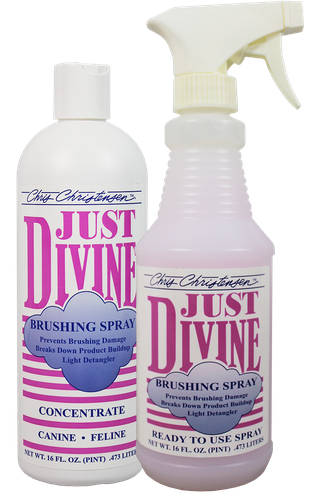 CC -  Just Divine