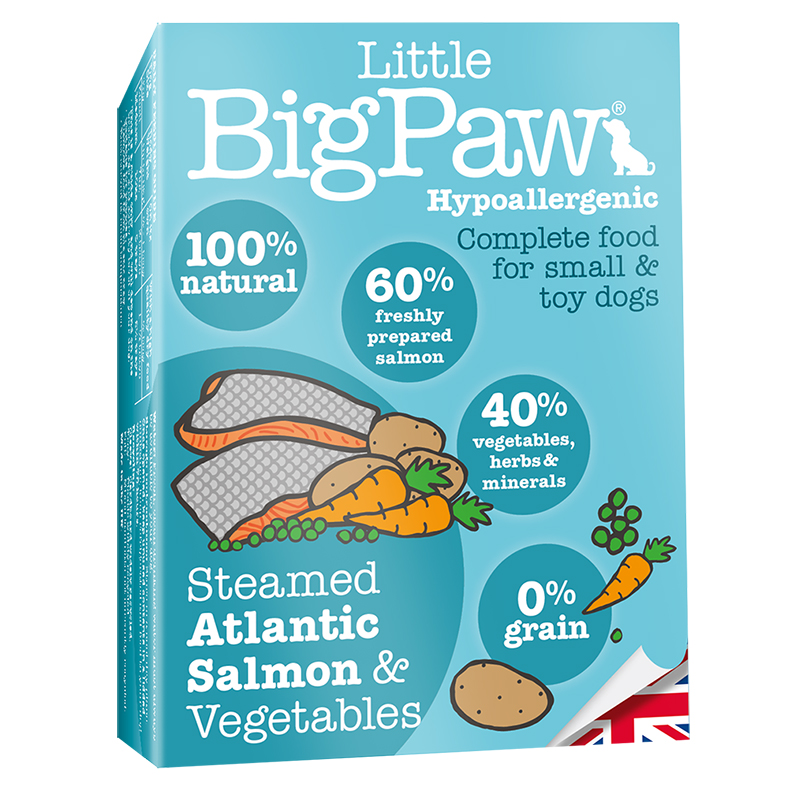 Little Big Paw - Salmon & Vegetable Terrine 150g