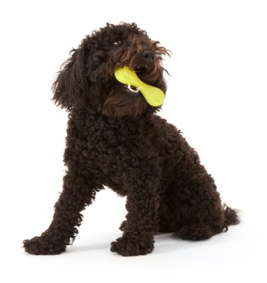 Zogoflex Hurley