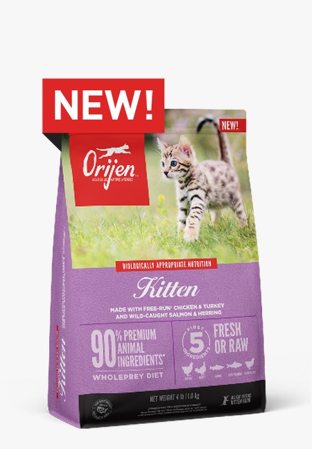 Orijen Kitten