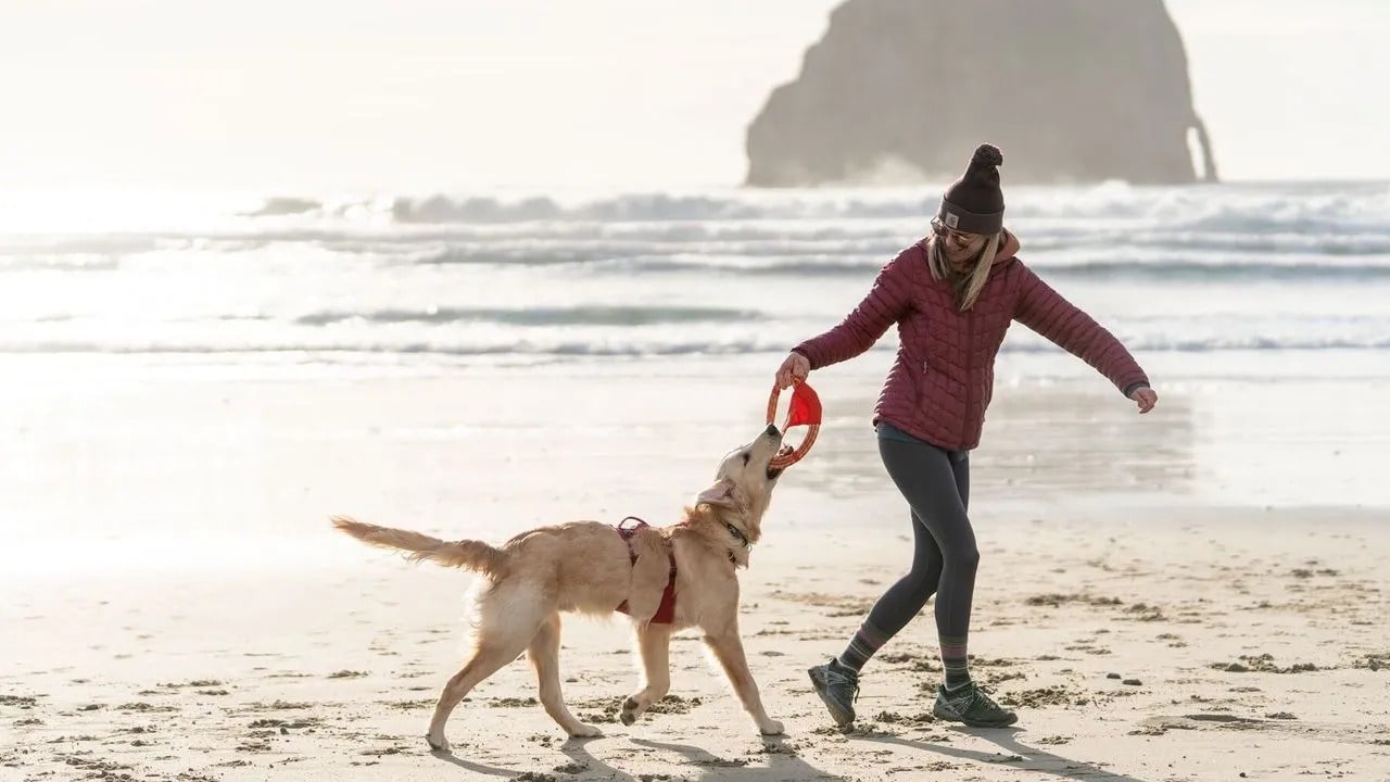Ruffwear Pacific Ring