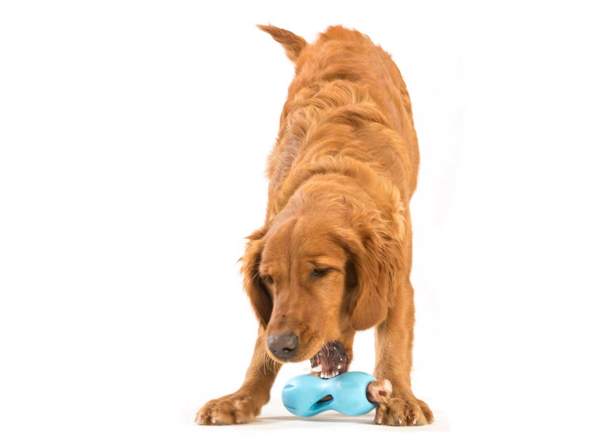 Zogoflex Qwizl Treat Toy