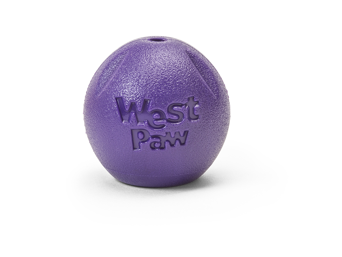 https://india.dogkart.in/ImageUploads/Rando_Purple.jpg