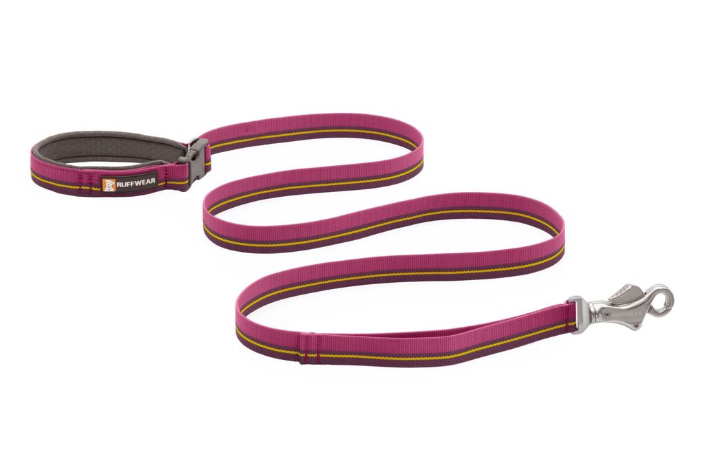 https://india.dogkart.in/ImageUploads/Ruffwear_Flat_Out_Leash_Wildflower_Horizon.jpg