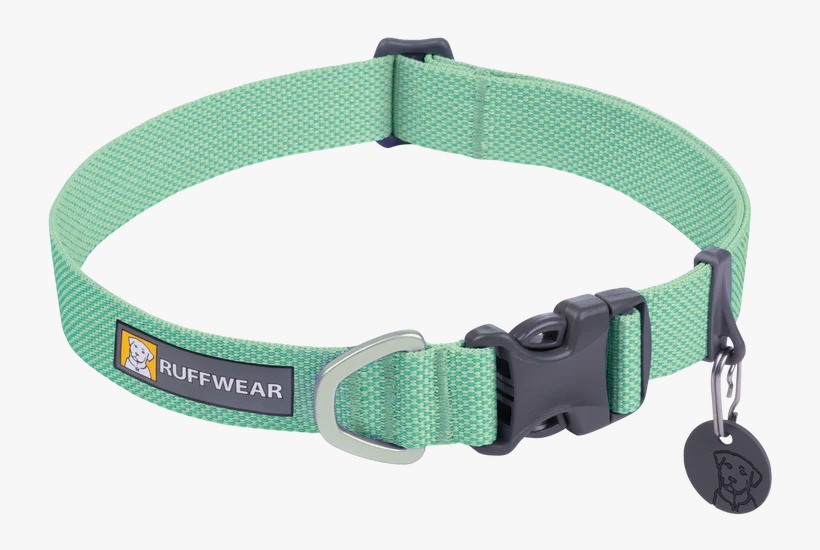 https://india.dogkart.in/ImageUploads/Ruffwear_Hi__and__Light_Collar_Sage_Green_R001.jpeg