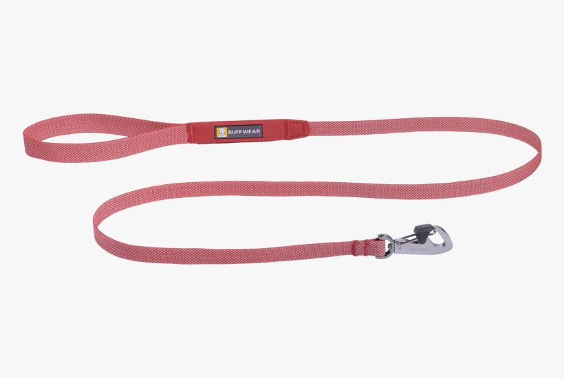 https://india.dogkart.in/ImageUploads/Ruffwear_Hi__and__Light_Leash_Salmon_Pink_R001.jpeg