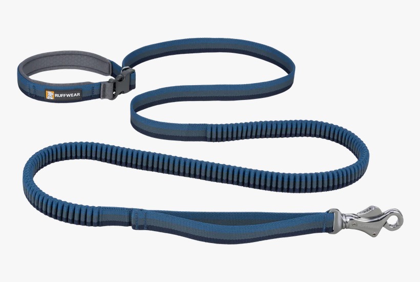 https://india.dogkart.in/ImageUploads/Ruffwear_Roamer_Leash_Orion_Blue.jpeg