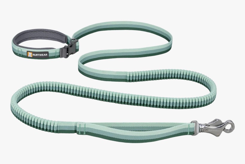 https://india.dogkart.in/ImageUploads/Ruffwear_Roamer_Leash_River_Rock_Green.jpeg