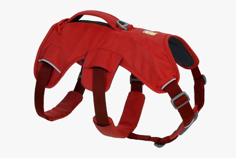 https://india.dogkart.in/ImageUploads/Ruffwear_Webmaster_Harness_Red_Sumac_R001.jpeg