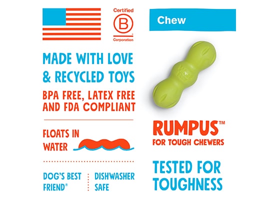 Zogoflex Rumpus Chew Toy