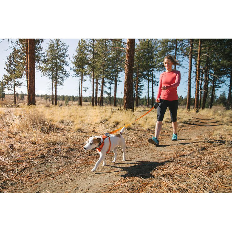 Ruffwear HI & LIGHT Harness