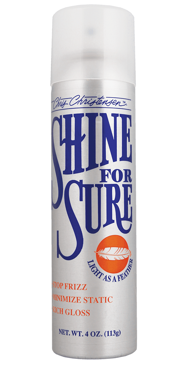 CC - Shine For Sure Aerosol