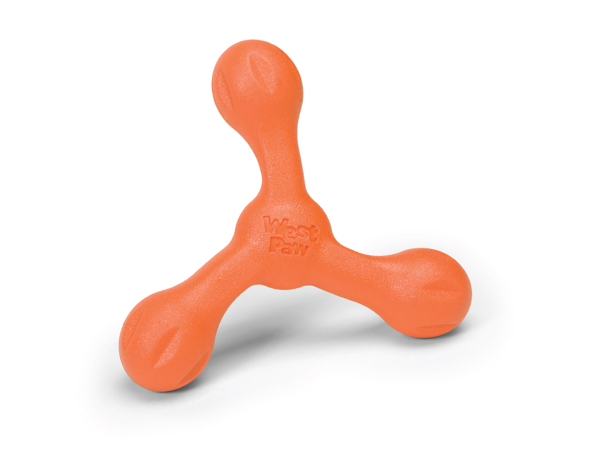 https://india.dogkart.in/ImageUploads/Skamp_Orange.jpg