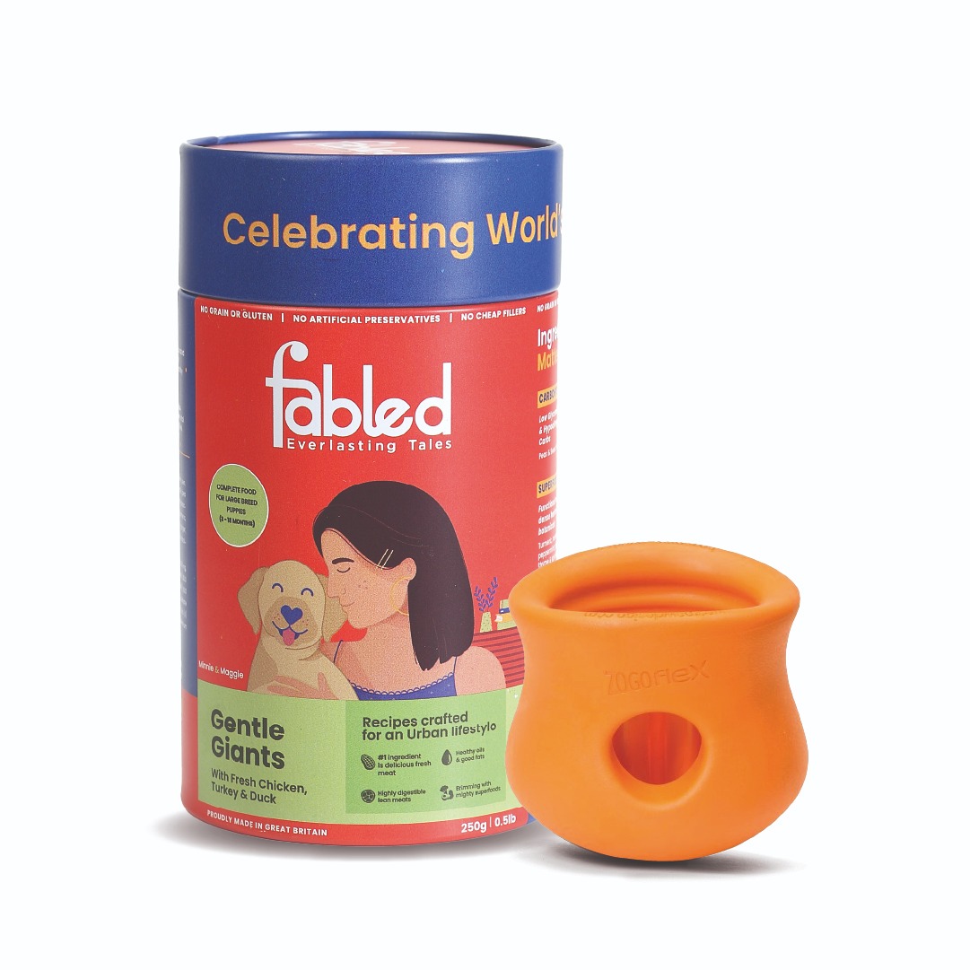 Zogoflex Toppl Treat Toy_Orange_Small + Gentle Giants