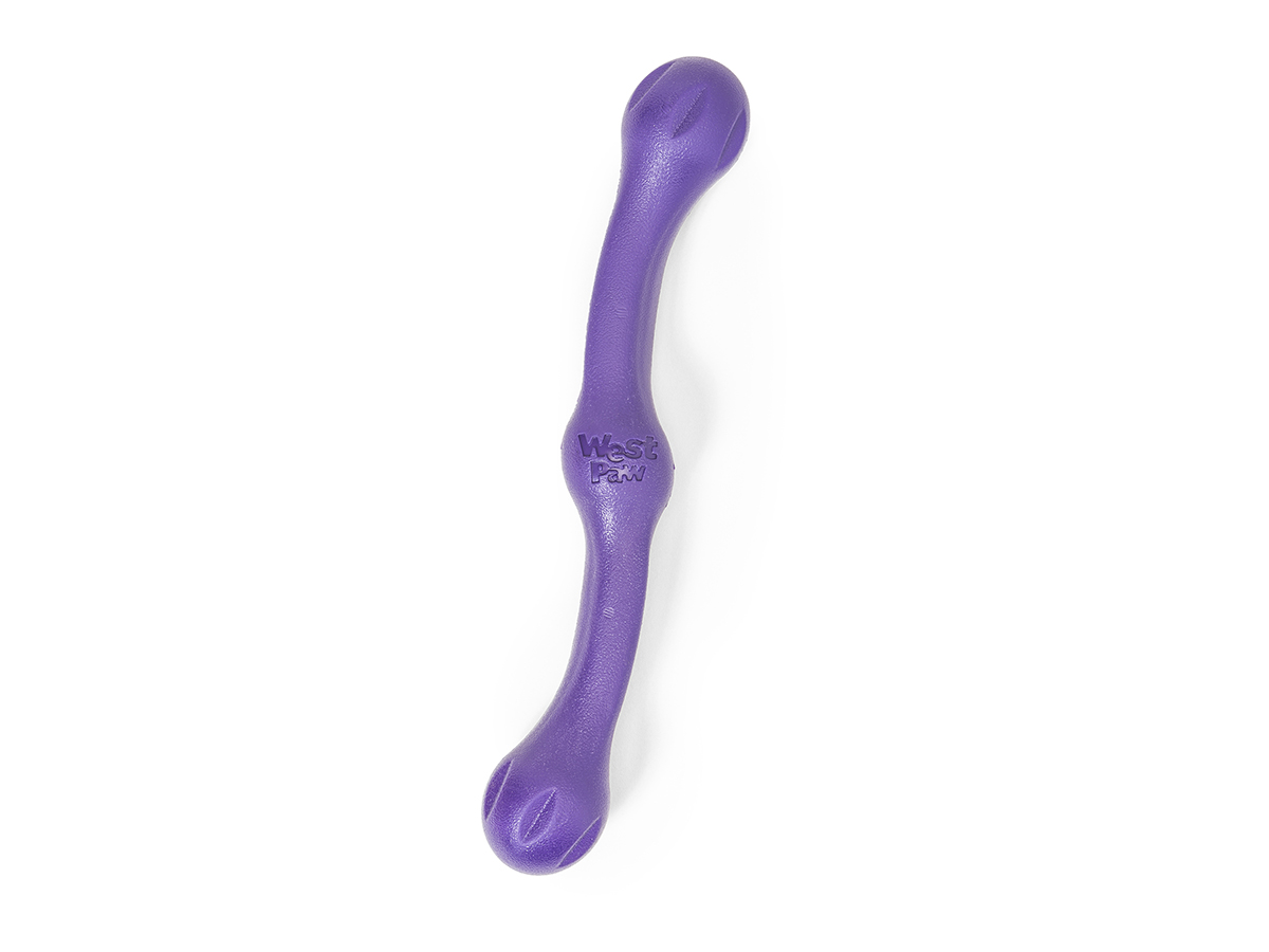 https://india.dogkart.in/ImageUploads/Zwig_Purple.jpg