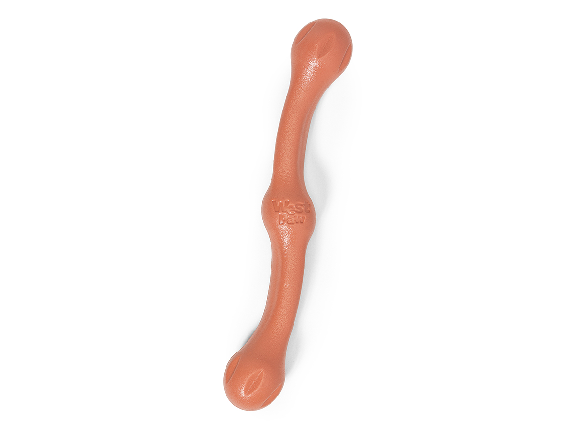 https://india.dogkart.in/ImageUploads/Zwig_orange.jpg