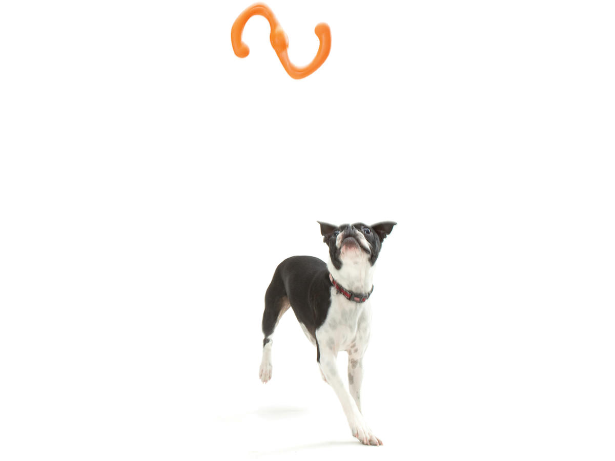 Zogoflex Bumi Tug Toy