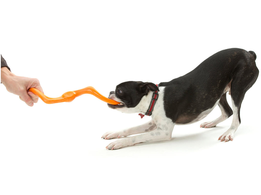 Zogoflex Bumi Tug Toy